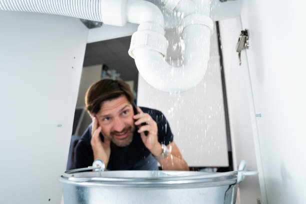 Best Drain Cleaning Services  in Bayport, MN